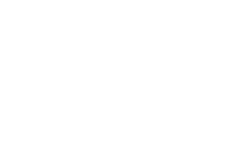 Driezestig Sessie